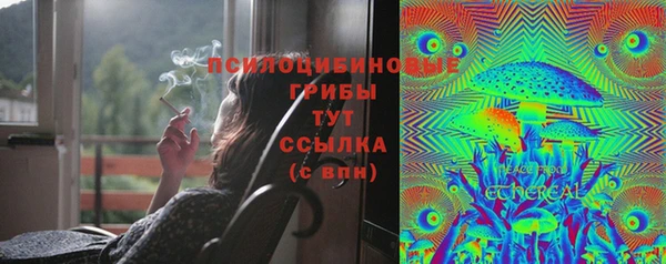 молекула духа Горнозаводск