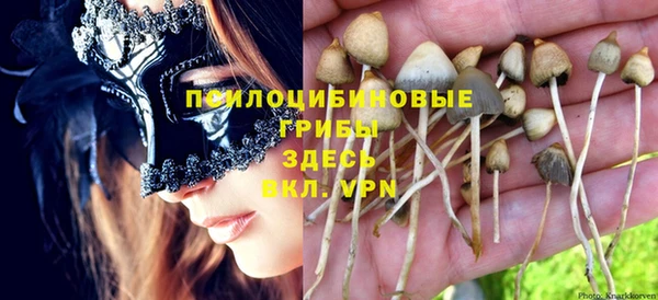 молекула духа Горнозаводск