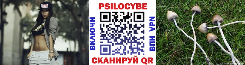 Псилоцибиновые грибы GOLDEN TEACHER  Купить  Первоуральск 