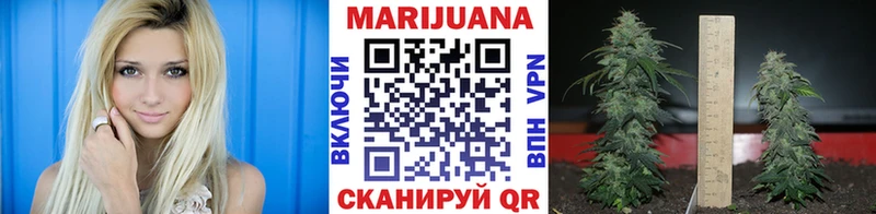 Купить закладки  Первоуральск  Каннабис Amnesia 